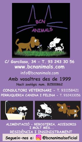 veterinari