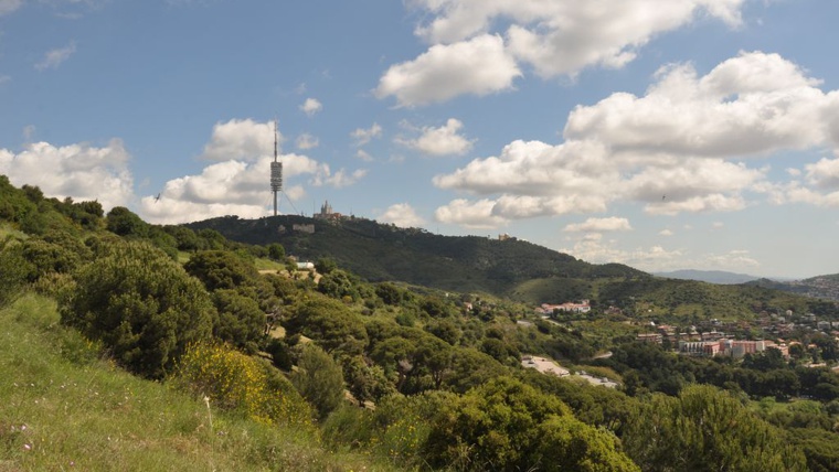 Parc natural collserola