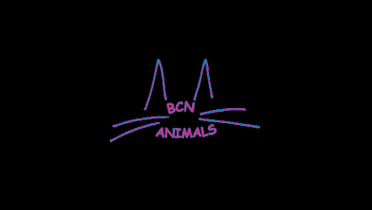 Bcn Animals