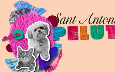 Sant Antoni_pelut