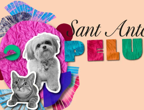 Sant Antoni_pelut