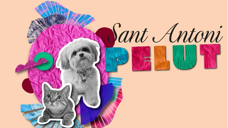Sant Antoni_pelut