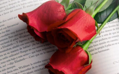 Sant Antoni_sant jordi