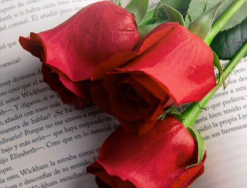 Sant Antoni_sant jordi