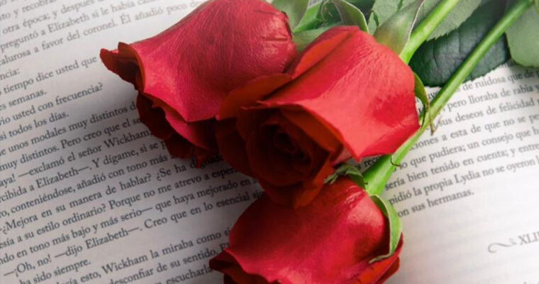 Sant Antoni_sant jordi