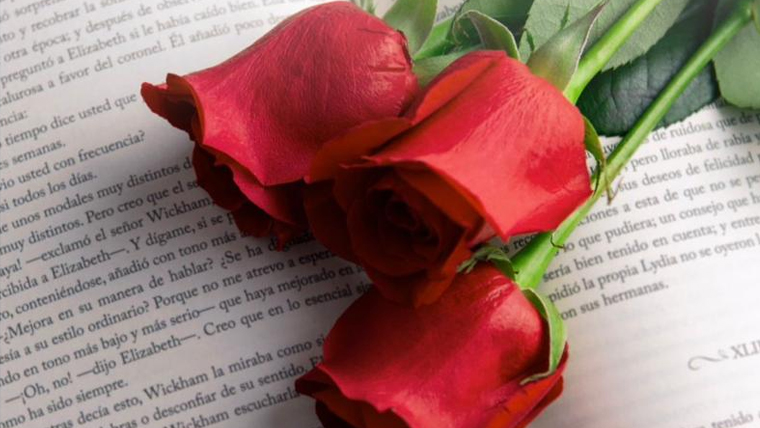 Sant Antoni_sant jordi